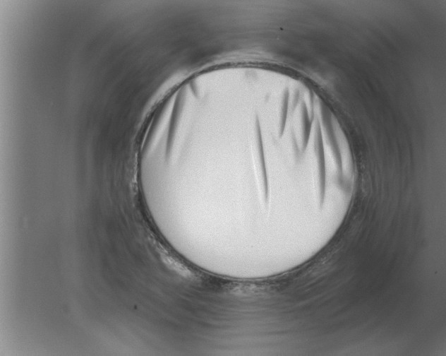 X0000080111366200612301933