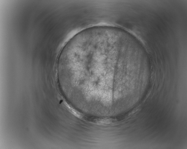 X0000080111367200612301933