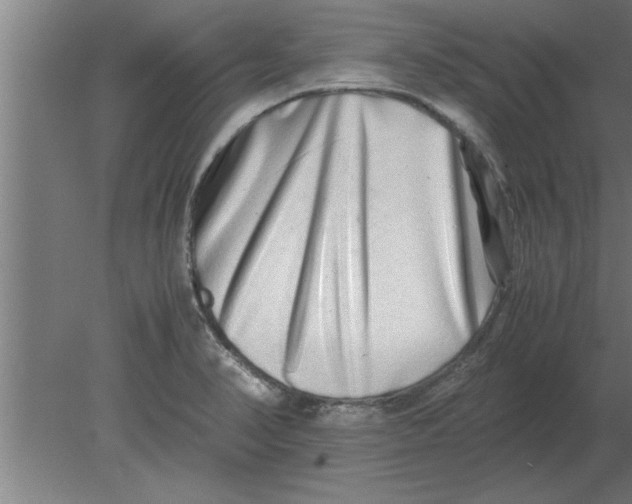 X0000080111374200612301933