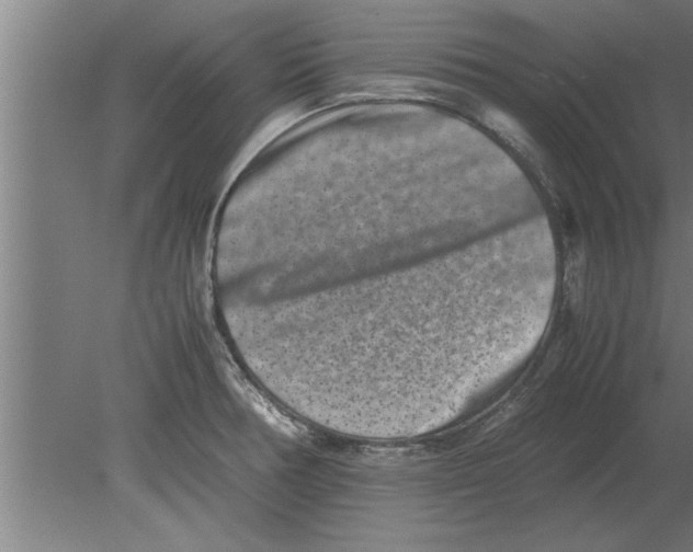 X0000080111378200612301932