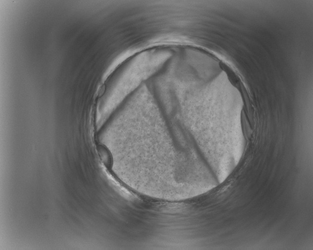 X0000080111382200612301932