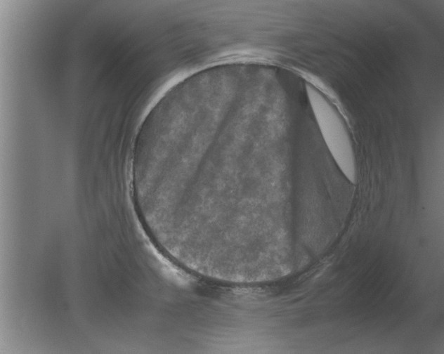 X0000080111383200612301932