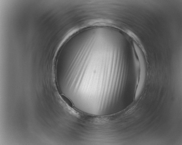 X0000080111384200612301932