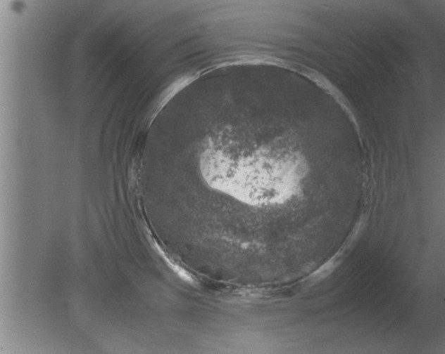 X0000080111385200612301932