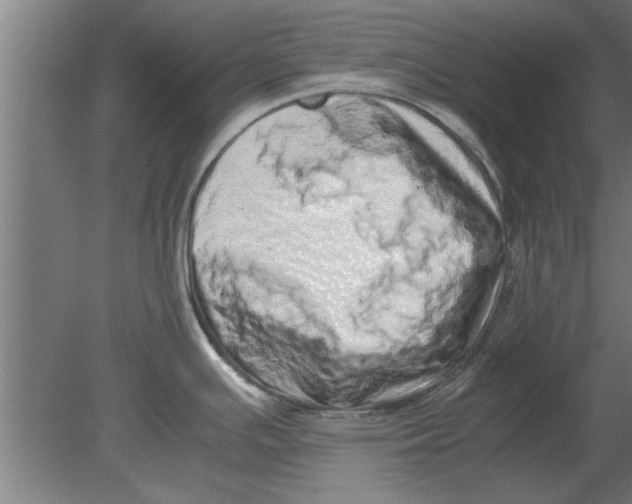 X0000080111391200612301932