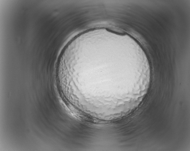 X0000080111392200612301932