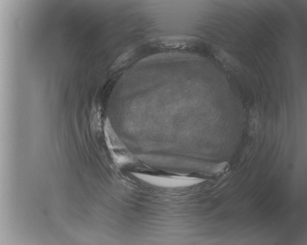 X0000080111394200612301931