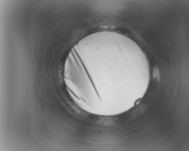 X0000080111396200612301931