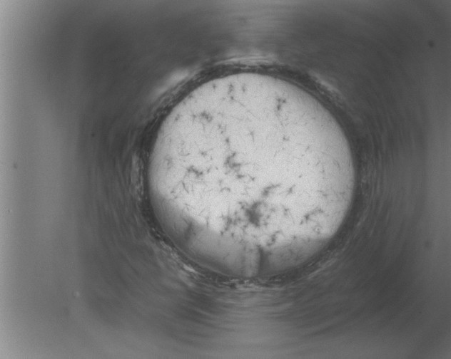 X0000080111398200612301931