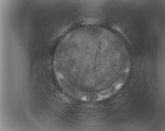 X0000080111399200612301932