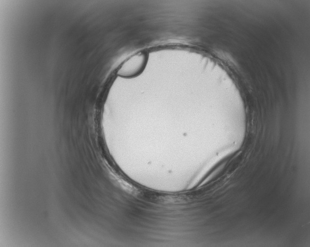 X0000080111404200612301932