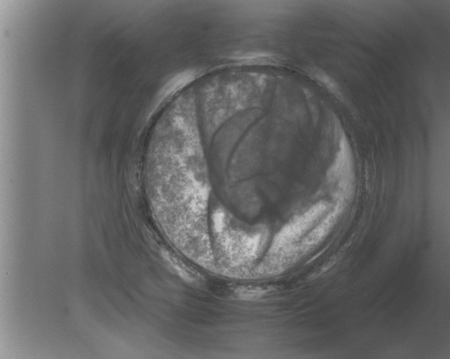 X0000080111405200612301932