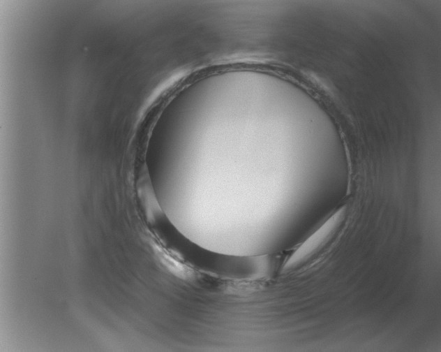 X0000080111406200612301932