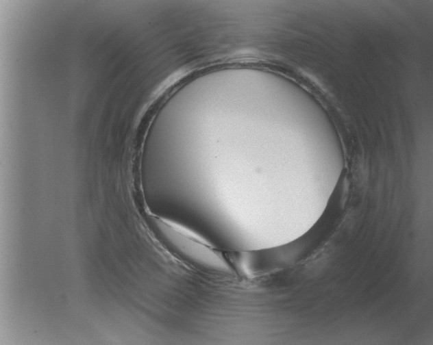 X0000080111410200612301932