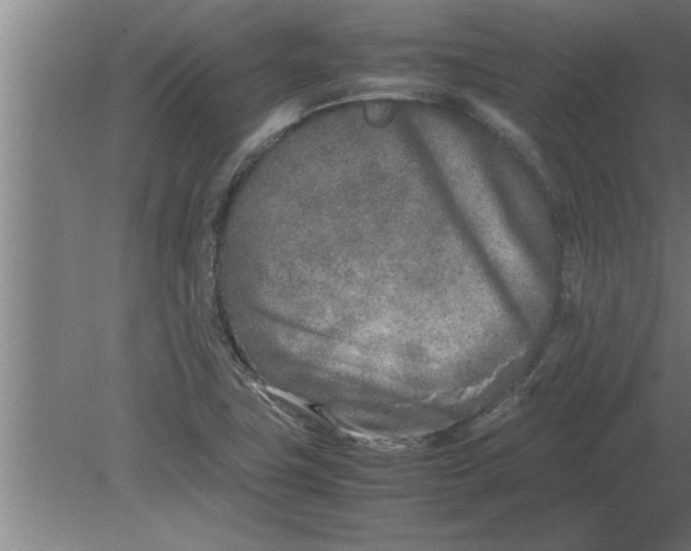 X0000080111411200612301932