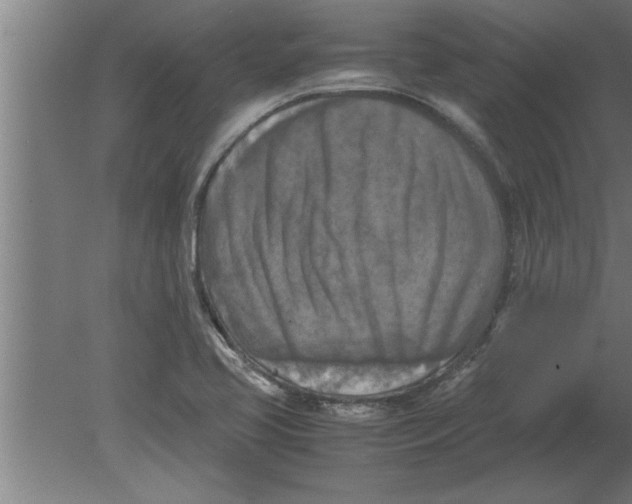 X0000080111413200612301932