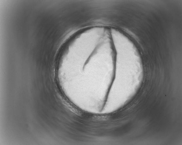 X0000080111415200612301932