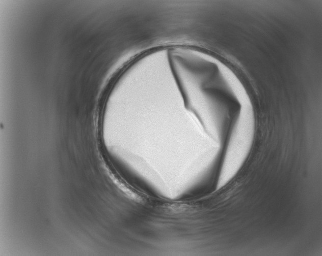 X0000080111416200612301932