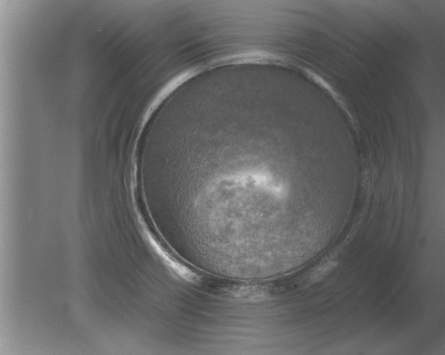 X0000080111418200612301932