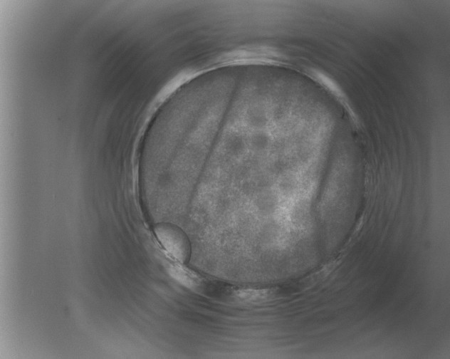 X0000080111419200612301932