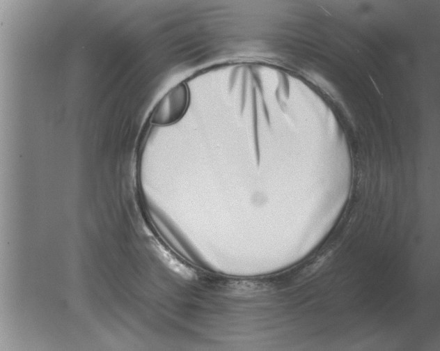 X0000080111420200612301932