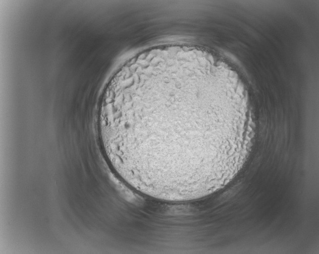 X0000080111421200612301932