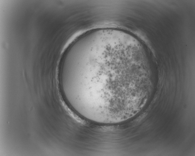 X0000080111422200612301932