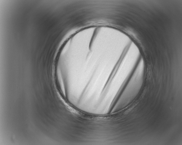 X0000080111424200612301932