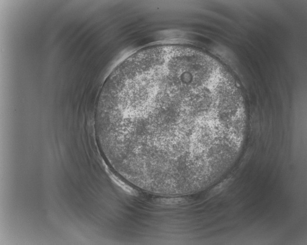 X0000080111425200612301932