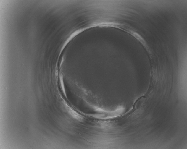 X0000080111428200612301932