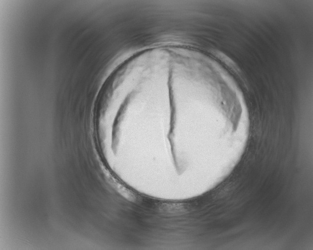 X0000080111431200612301932