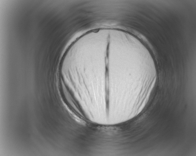 X0000080111432200612301932