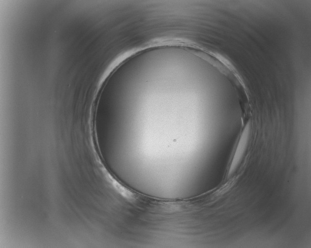 X0000080111438200612301932