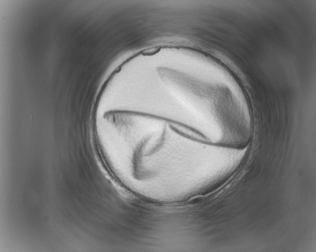 X0000080111440200612301932