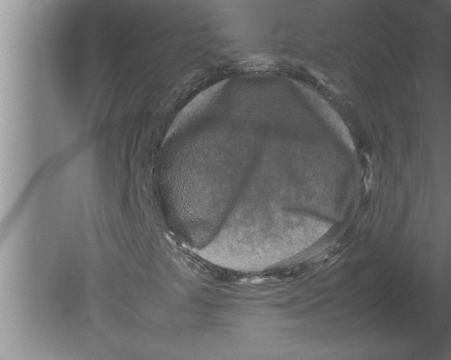 X0000080111441200612301931