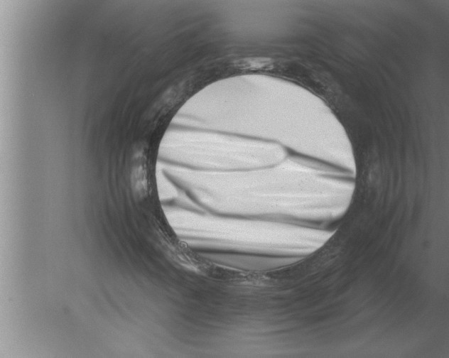 X0000080111442200612301931