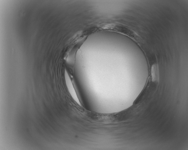 X0000080111443200612301931