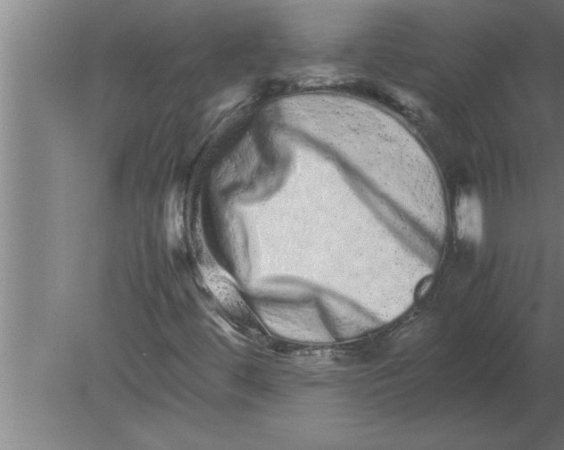 X0000080111444200612301931