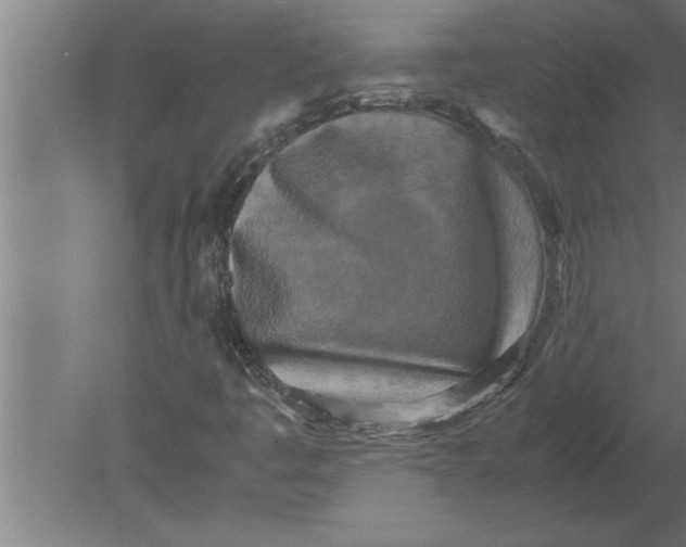 X0000080111445200612301931