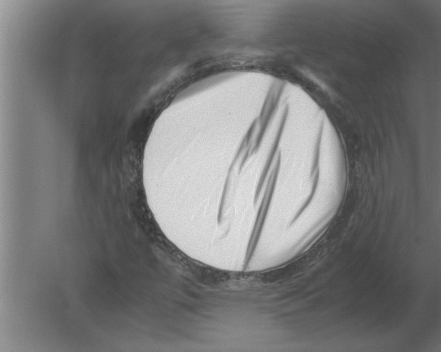 X0000080111447200612301931