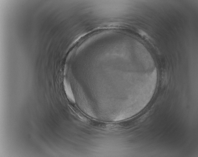 X0000080111449200612301931