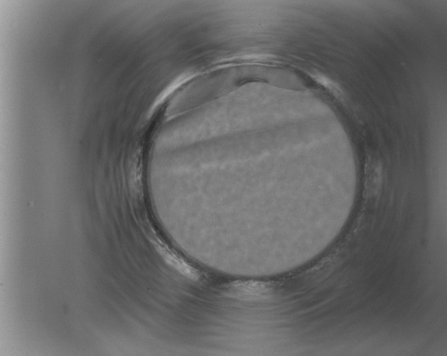 X0000080111450200612301931