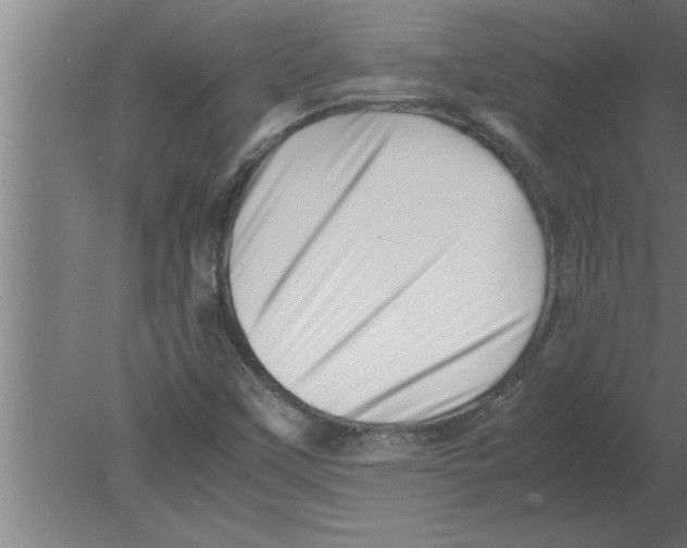 X0000080111451200612301931