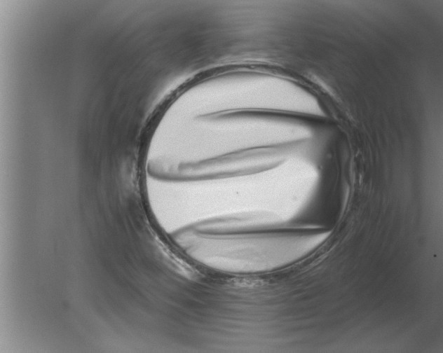 X0000080111452200612301931