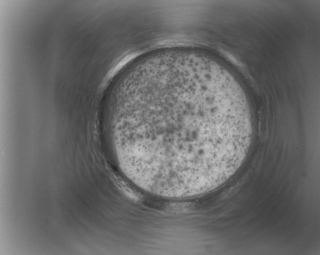 X0000080111453200612301931