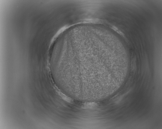 X0000080111454200612301931