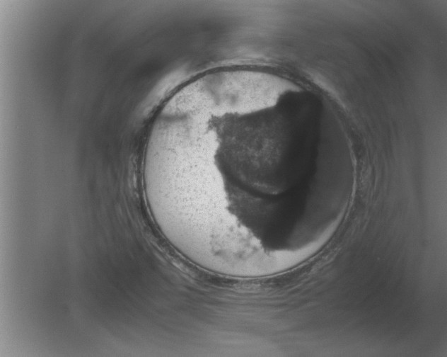 X0000080111455200612301931