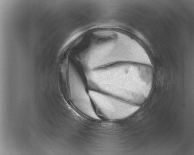 X0000080111456200612301931