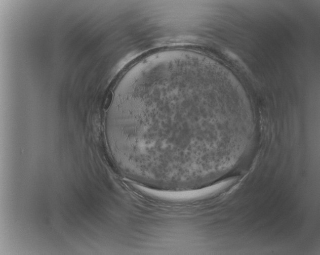 X0000080111457200612301931