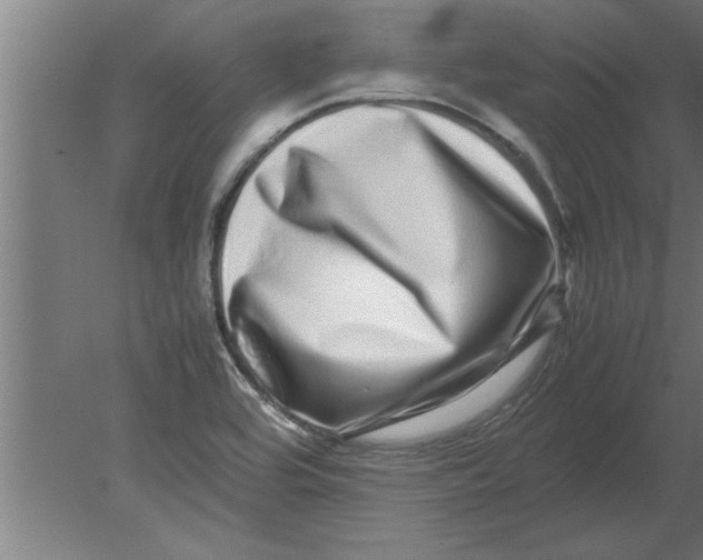 X0000080111464200612301931